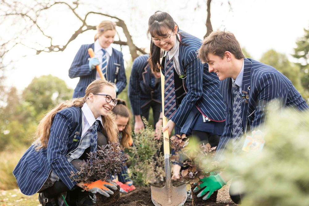 Students outside planting trees on campus