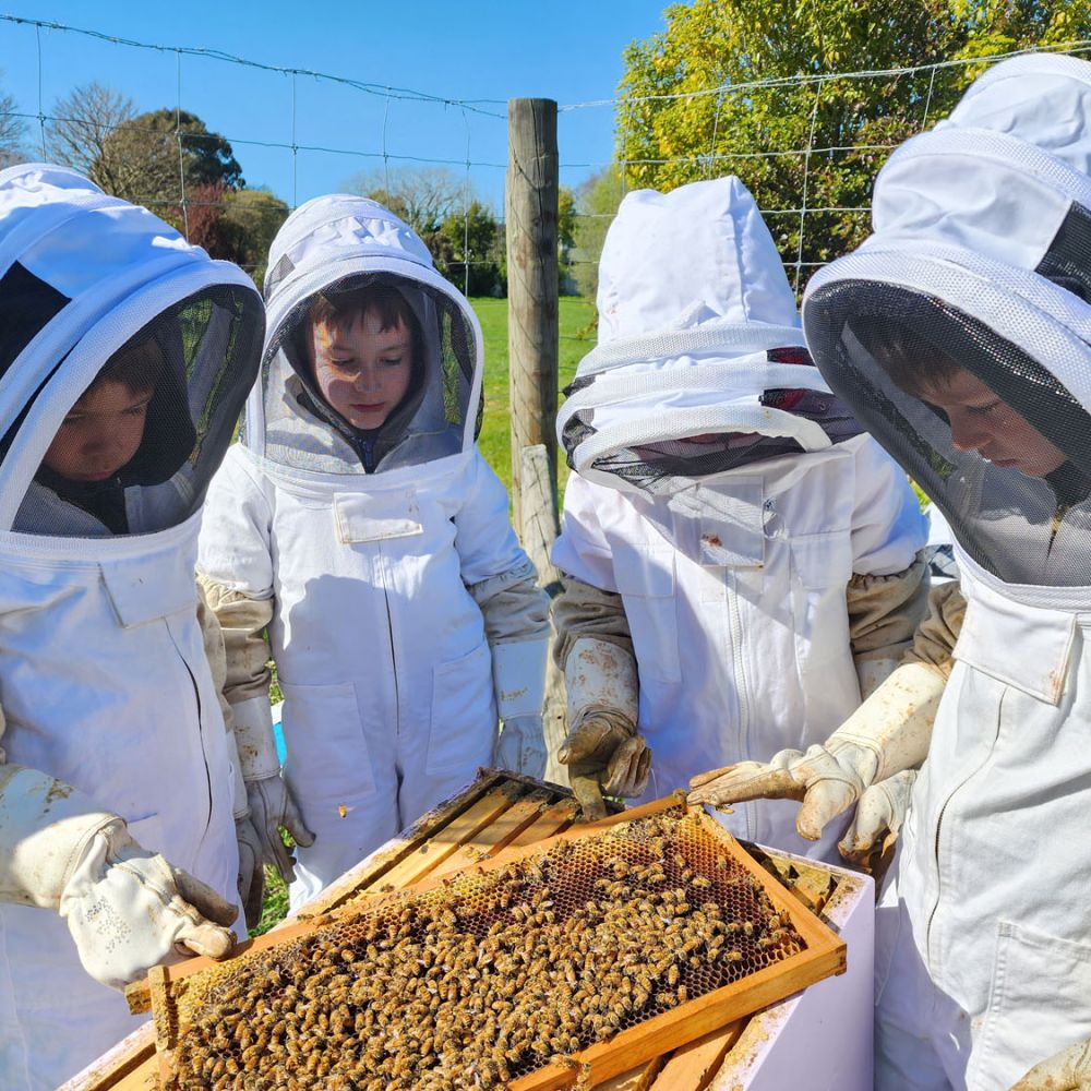 Preparatory School students to Bee Experience wearing bee suits and holding  honeycomb.