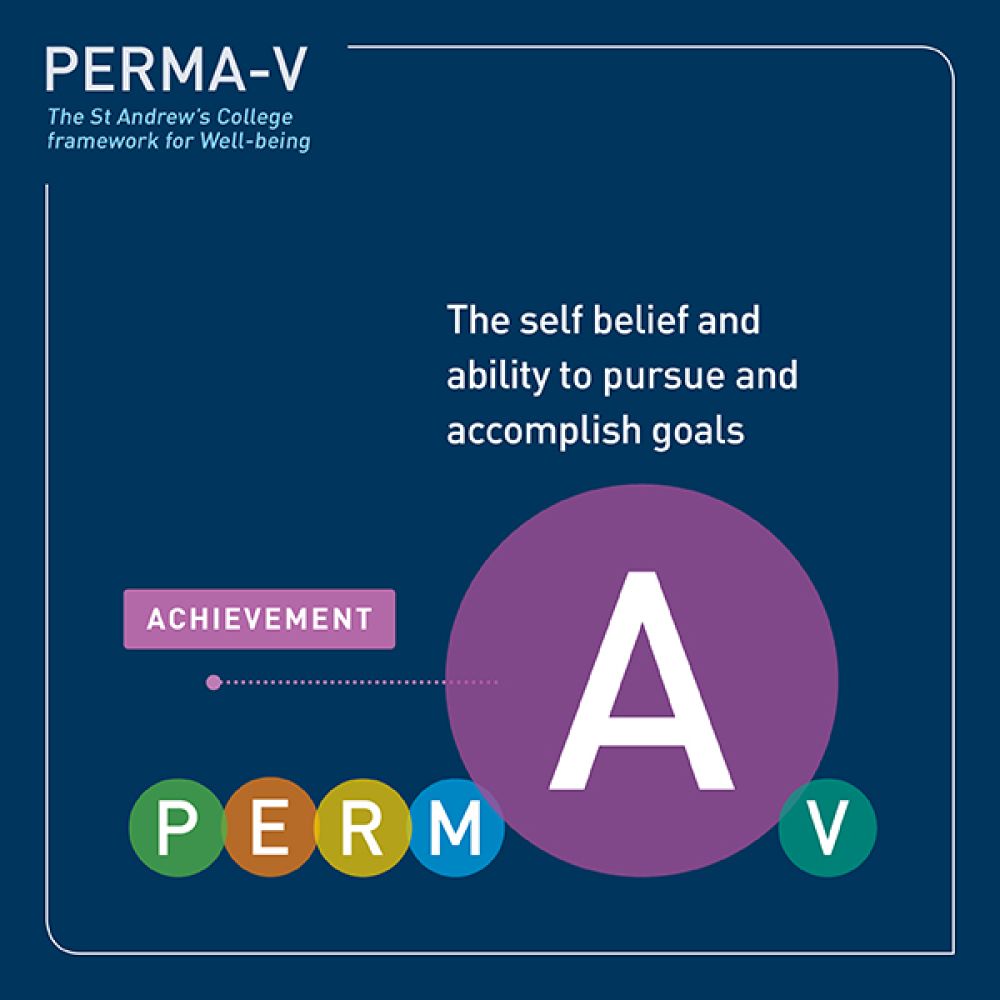 PERMA-V framework - achievement.