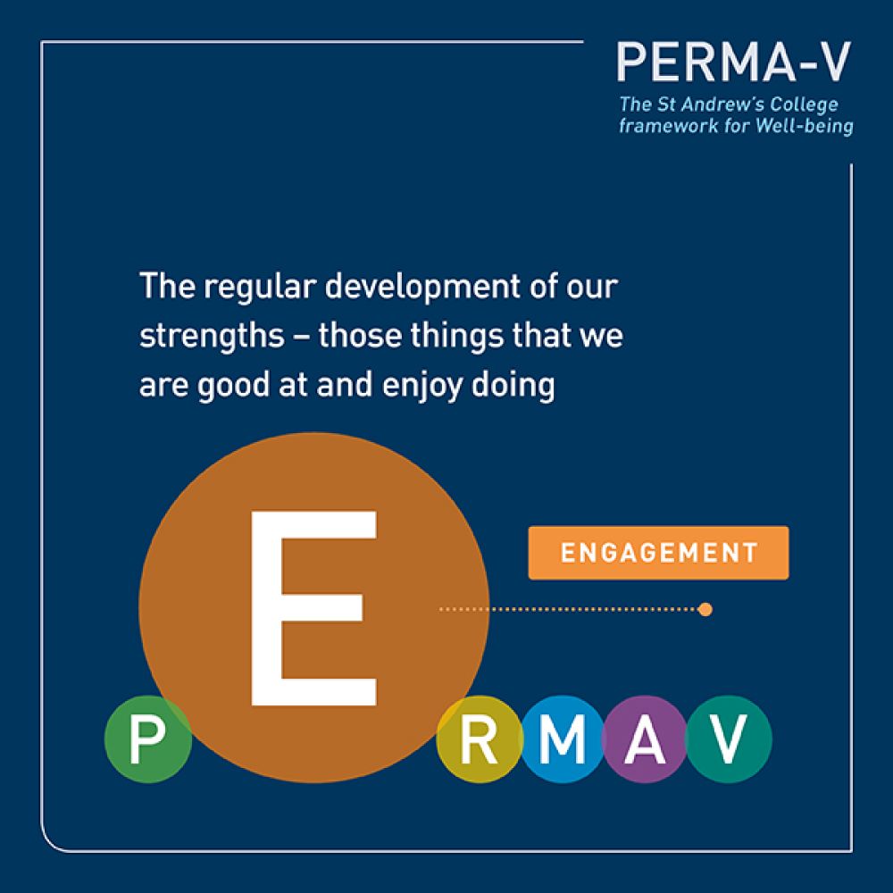 PERMA-V framework - engagement.