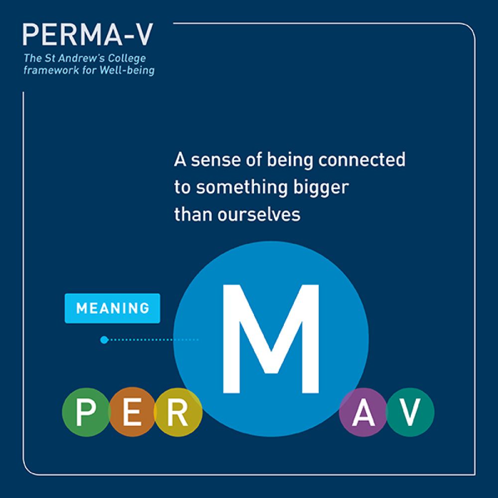 PERMA-V framework - meaning.