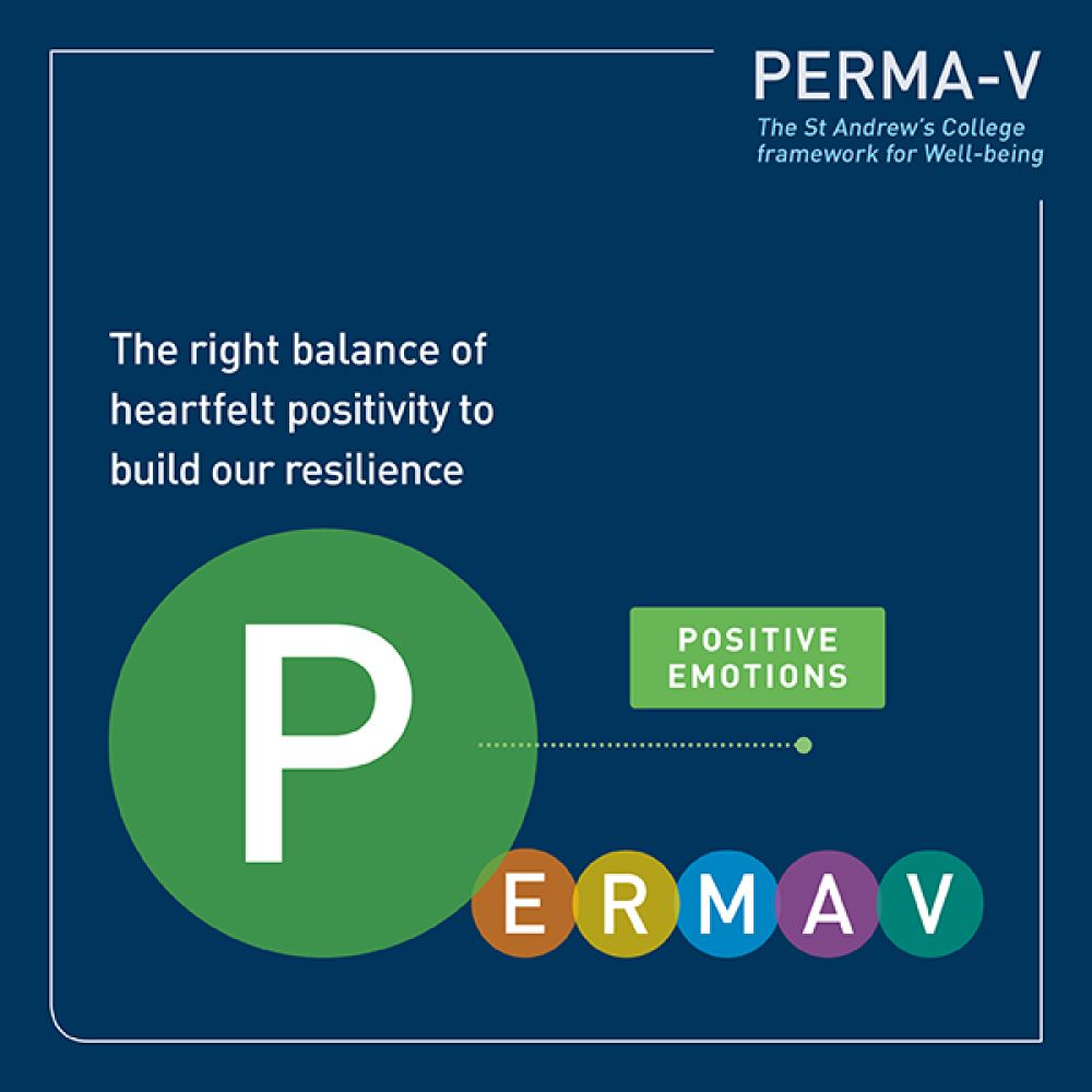 PERMA-V framework - positive emotions.