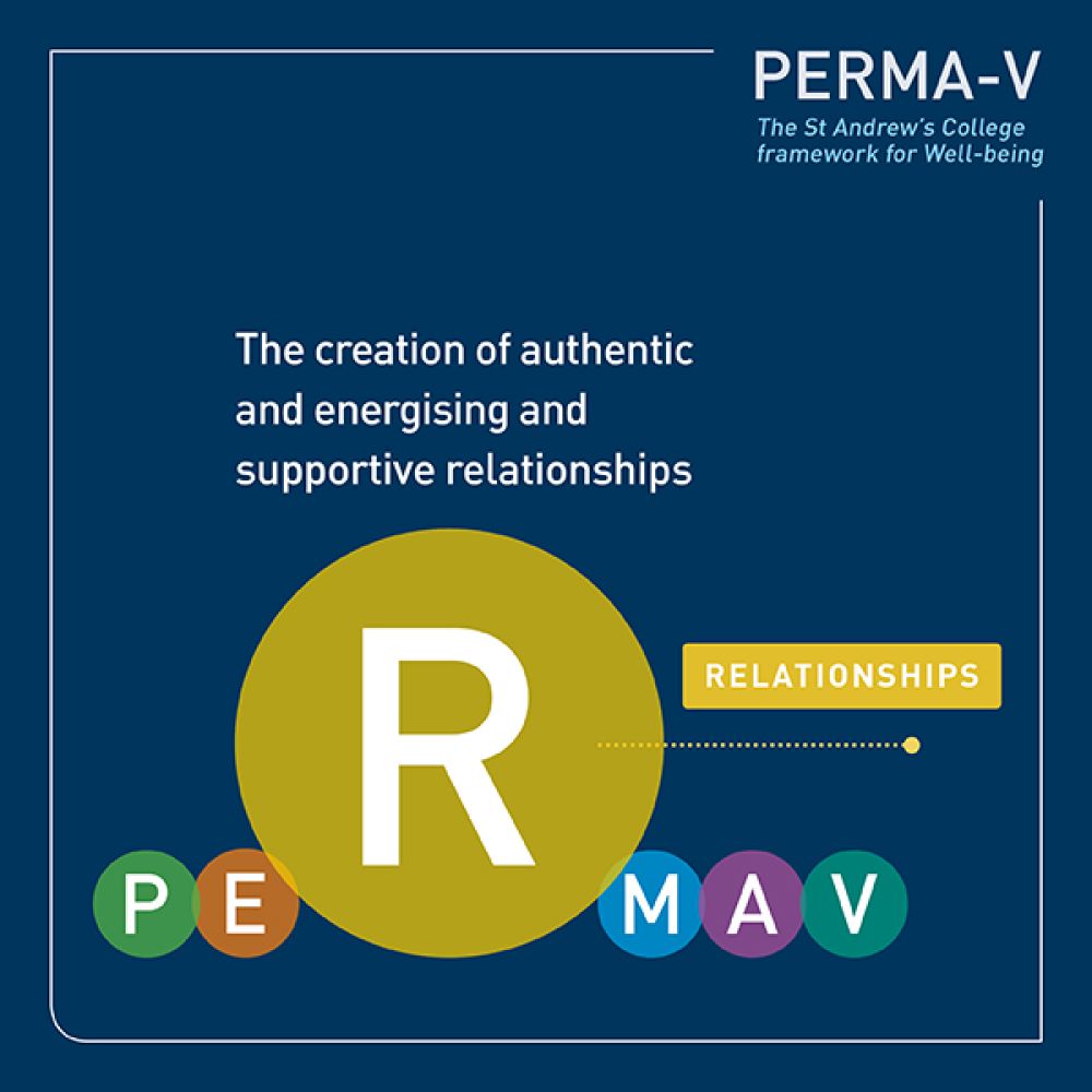 PERMA-V framework - relationships.
