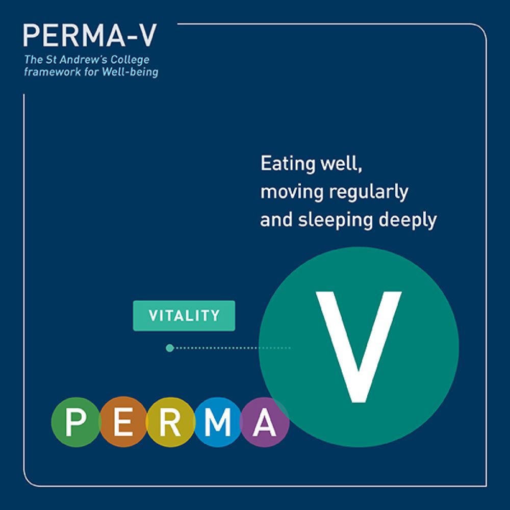 PERMA-V framework - vitality.