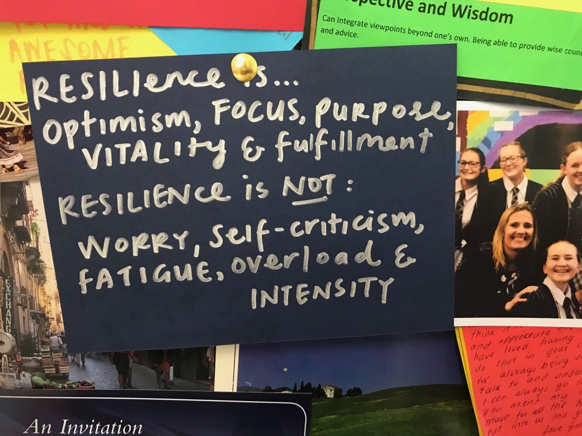 Resilience is, optimism, focus, purpose, vitality and fulfillment