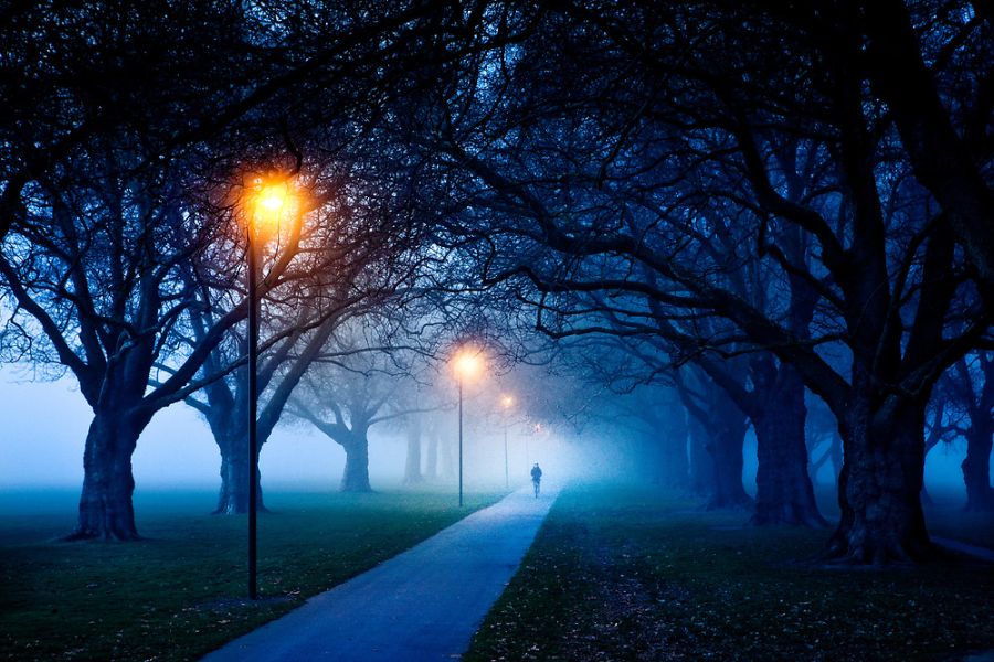 a foggy morning in hagley park