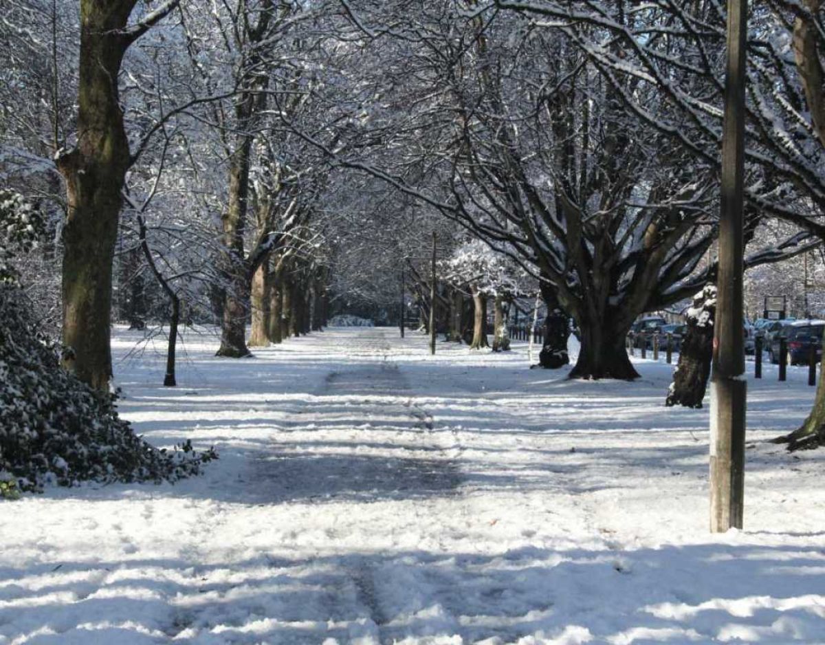 Hagley Park in the snow