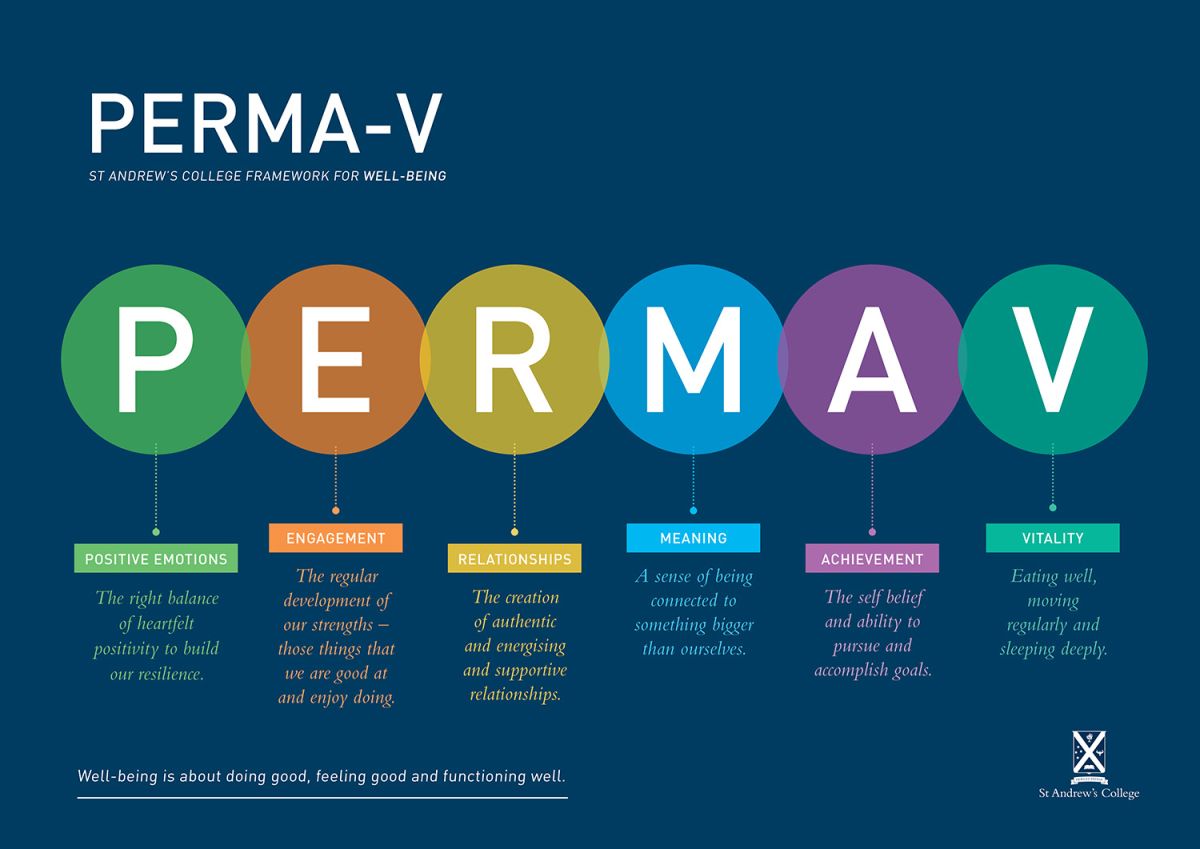 Perma V framework for well-being