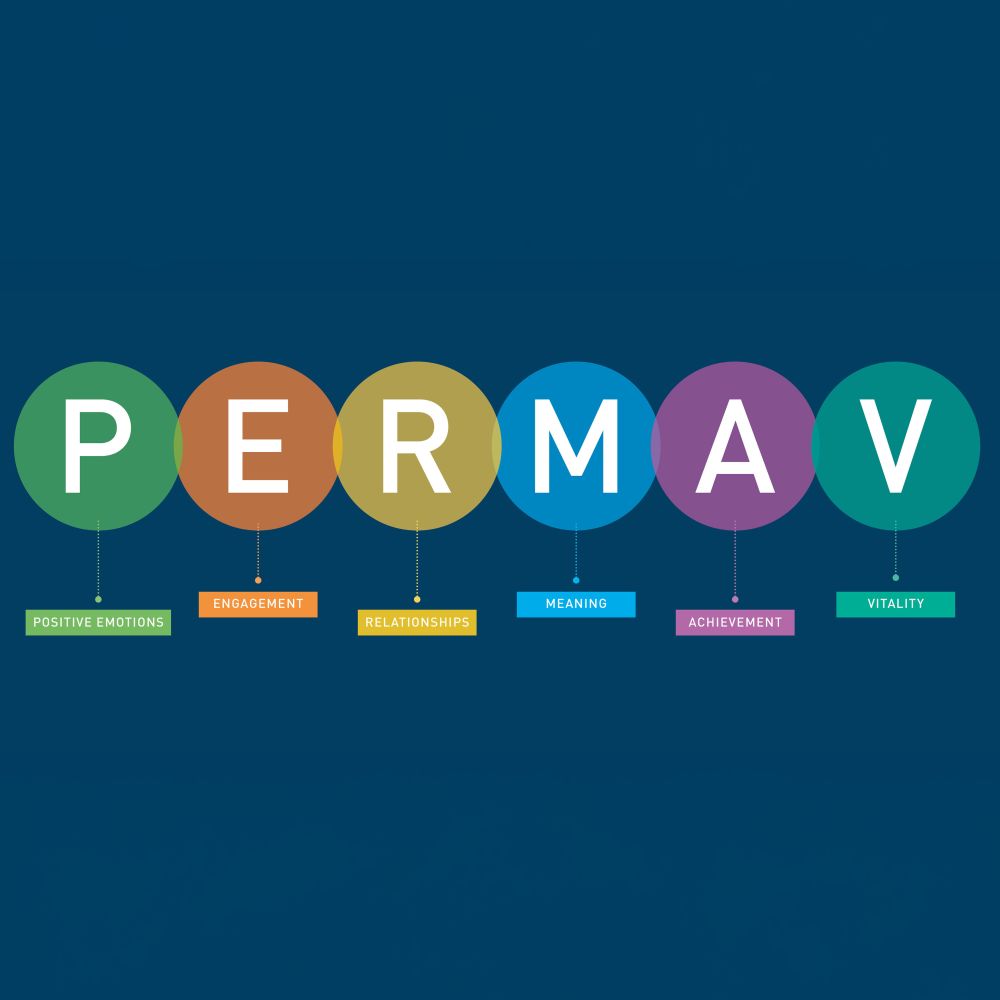 Perma-V model.